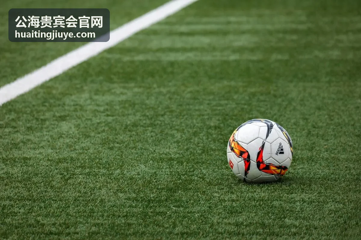 公海贵宾会商务密会